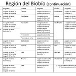 13. Biobío (continuación)